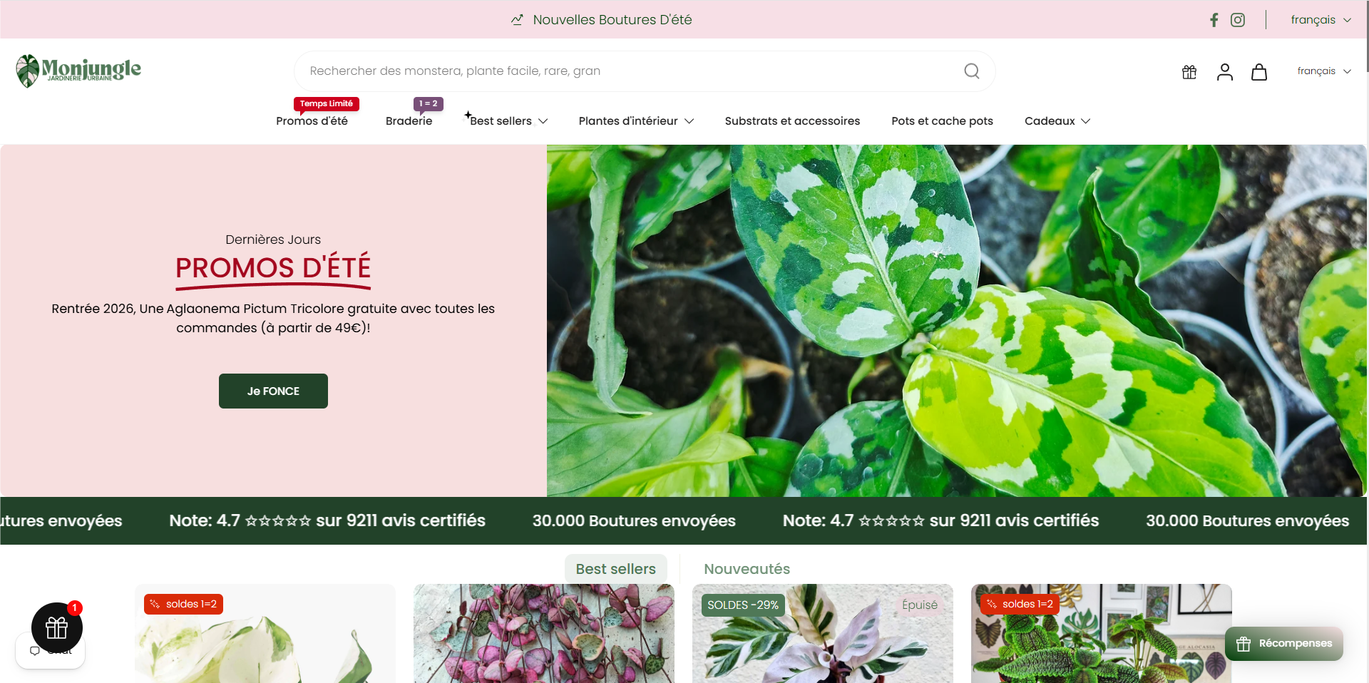 Aperçu du site Monjungle.com